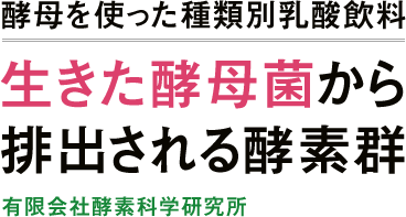 酵母を使った種類別乳酸飲料　生きた酵母菌から排出される酵素群