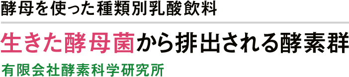 酵母を使った種類別乳酸飲料　生きた酵母菌から排出される酵素群